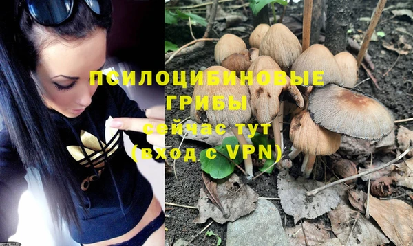 кристаллы Покров