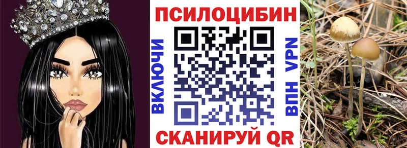 Псилоцибиновые грибы мухоморы  цены наркотик  Зеленодольск 